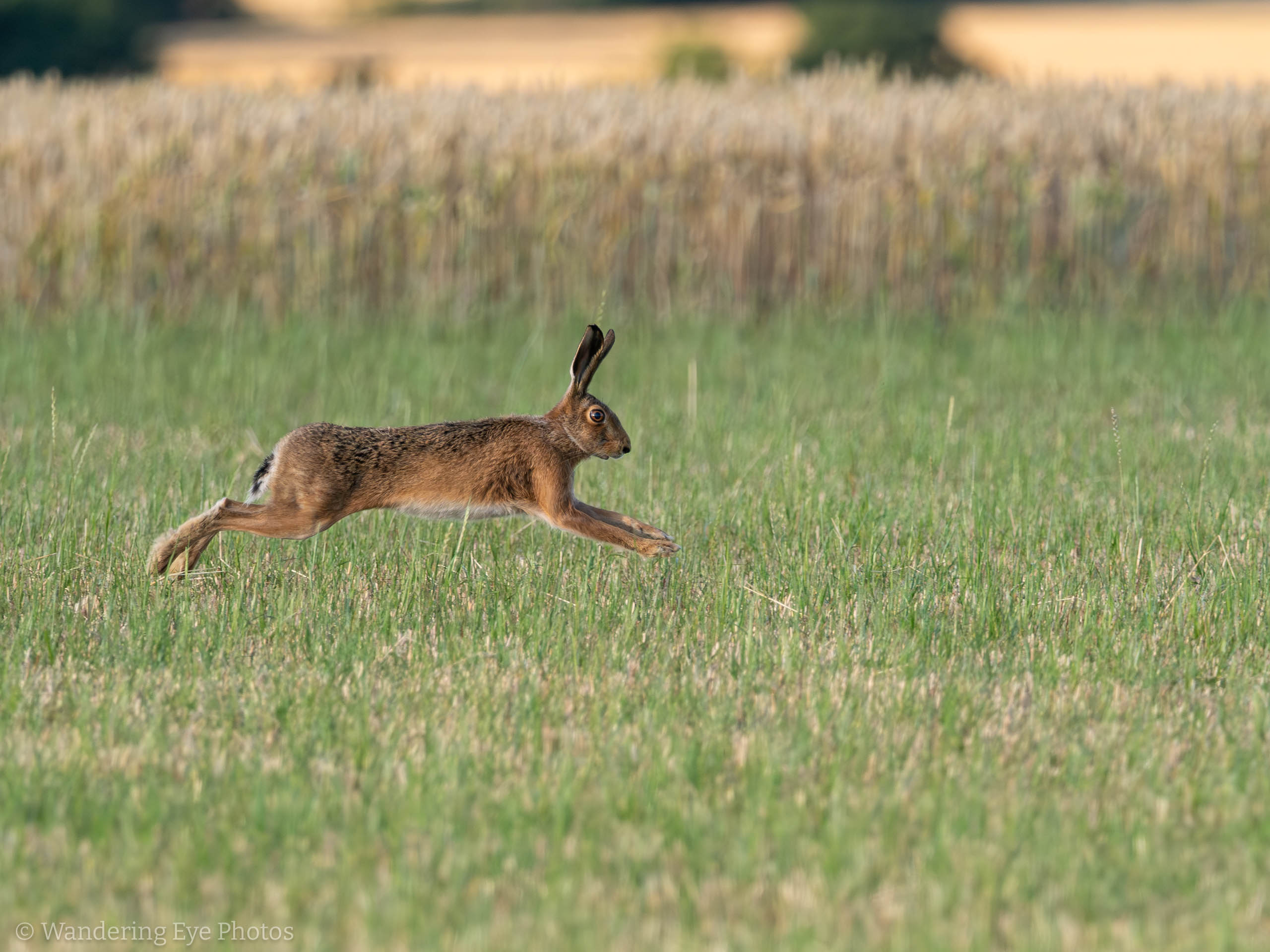 07.03 19.47.50 P7030537